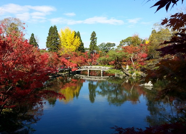 1 103.11京都賞楓永觀堂.jpg