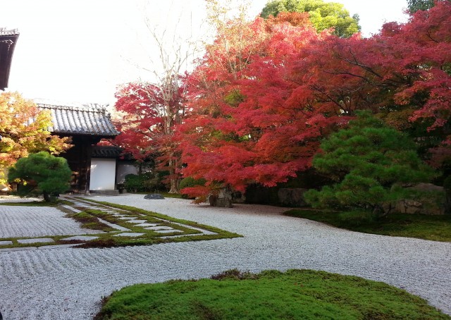 4 103.11京都賞楓南禪寺2.jpg