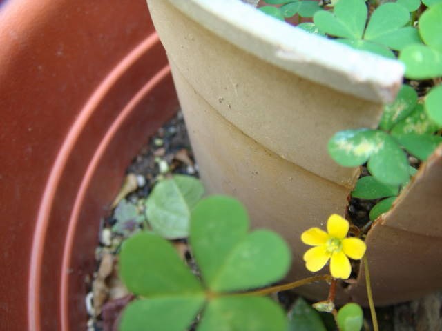 DSC00410.jpg