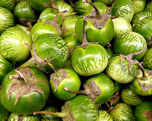 kermit eggplant.jpg